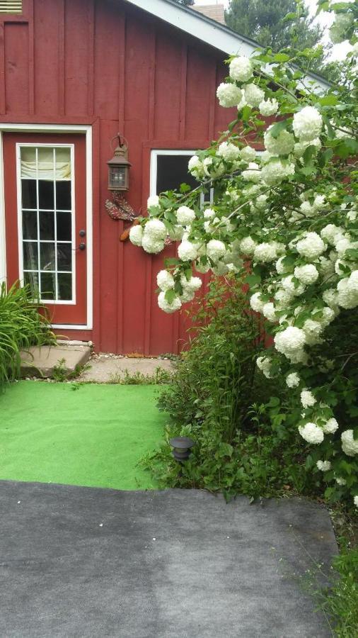 Ethel Maud Place Hotel Severn Bagian luar foto